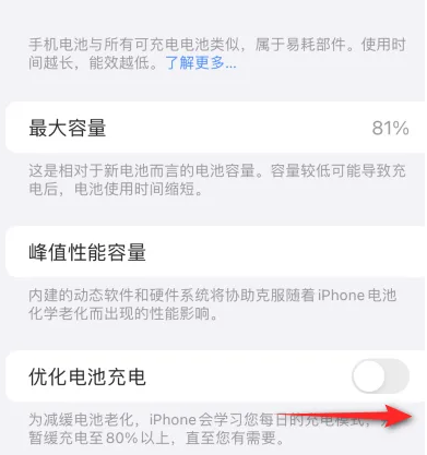 新巴尔虎右苹果15维修分享iPhone15充电到80%就充不进电了怎么办 