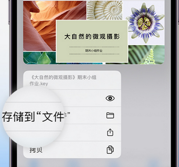 新巴尔虎右apple维修中心分享iPhone文件应用中存储和找到下载文件