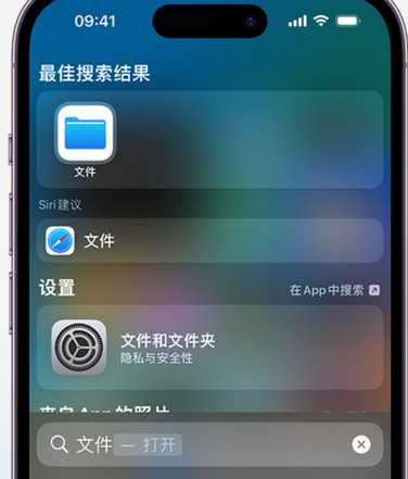 新巴尔虎右apple维修中心分享iPhone文件应用中存储和找到下载文件