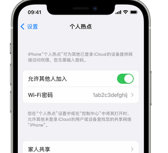 新巴尔虎右apple服务站点分享iPhone上个人热点丢失了怎么办