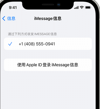 新巴尔虎右apple维修iPhone上无法正常发送iMessage信息 