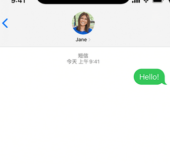 新巴尔虎右apple维修iPhone上无法正常发送iMessage信息