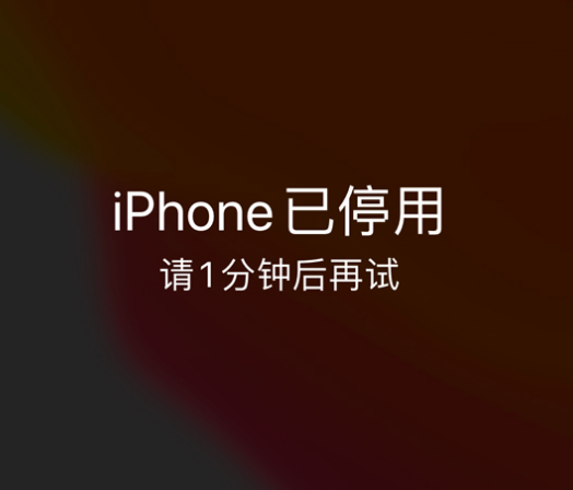 新巴尔虎右苹果手机维修分享:iPhone 显示“不可用”或“已停用”怎么办？还能保留数据吗？ 