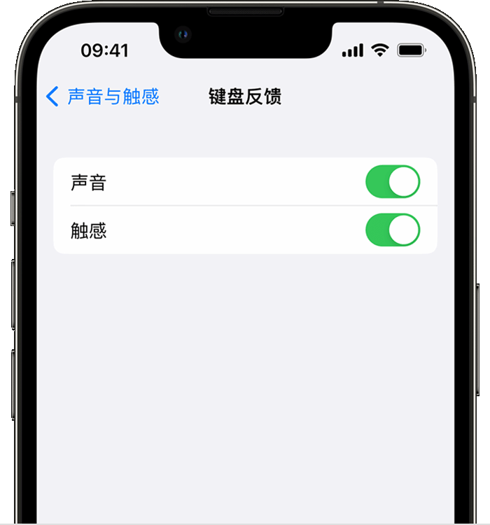 新巴尔虎右苹果14维修店分享如何在 iPhone 14 机型中使用触感键盘 