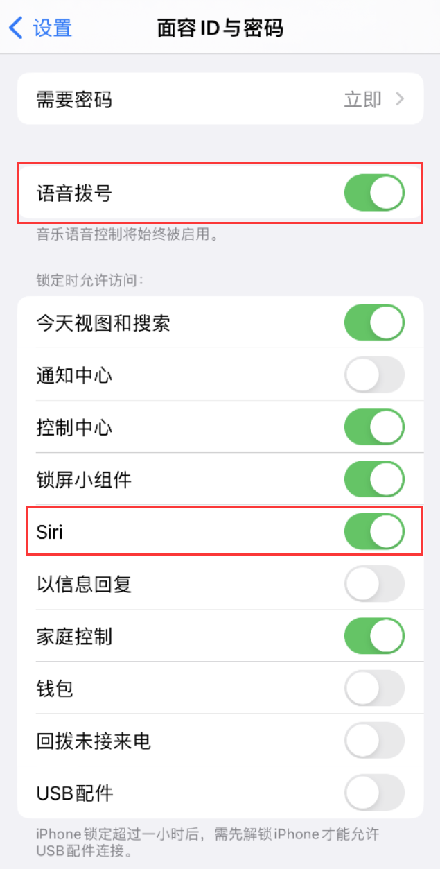 新巴尔虎右苹果维修网点分享不解锁 iPhone 的情况下通过 Siri 拨打电话的方法 