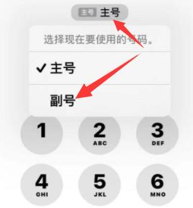 新巴尔虎右苹果14维修店分享iPhone 14 Pro Max使用副卡打电话的方法 