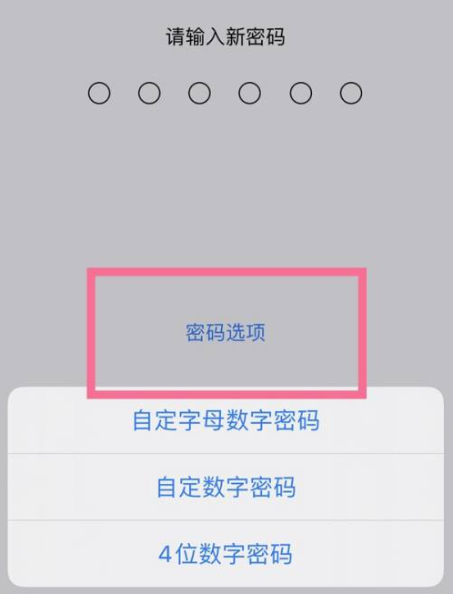 新巴尔虎右苹果14维修分享iPhone 14plus设置密码的方法 