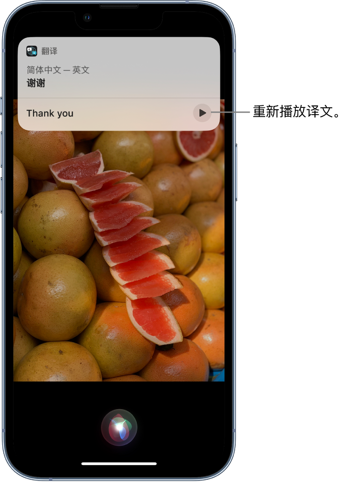 新巴尔虎右苹果14维修分享 iPhone 14 机型中使用 Siri：了解 Siri 能帮你做什么 