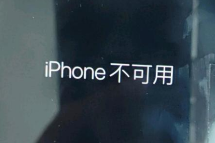 新巴尔虎右苹果服务网点分享锁屏界面显示“iPhone 不可用”如何解决 