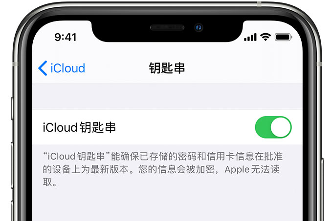 新巴尔虎右苹果手机维修分享在 iPhone 上开启 iCloud 钥匙串之后会储存哪些信息 