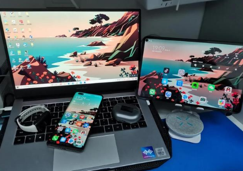 新巴尔虎右苹果手机维修分享为什么iPad屏幕更大价格却比iPhone低 