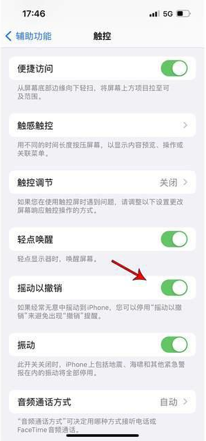 新巴尔虎右苹果手机维修分享iPhone手机如何设置摇一摇删除文字 